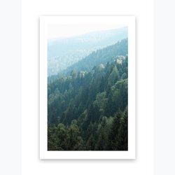Kunstdruck Poster Bild Druck Motiv: "Wald Landschaft" 70x100cm