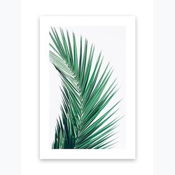 Kunstdruck Poster Bild Druck Motiv: "Palmenblätter 3" 21x30cm