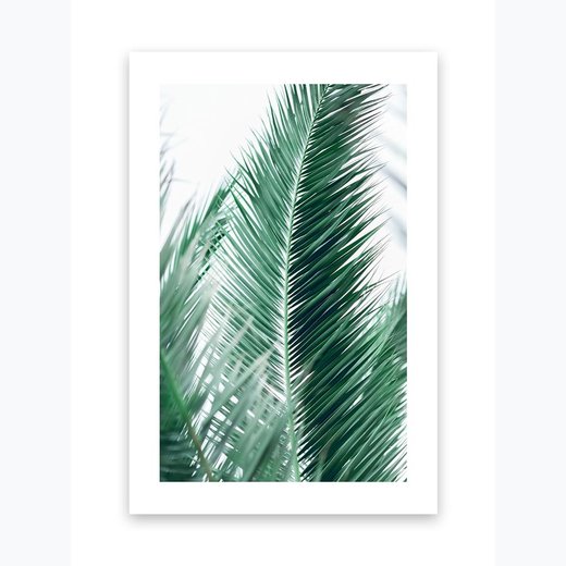 Kunstdruck Poster Bild Druck Motiv: "Palmenblätter 4" 21x30cm