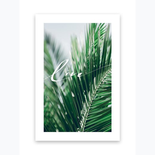 Kunstdruck Poster Bild Druck Motiv: "Palmenlätter Live" 21x30cm