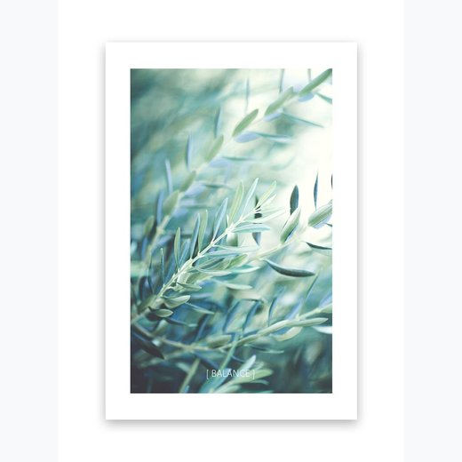 Kunstdruck Poster Bild Druck Motiv: "Olivenbaum Blätter" 70x100cm