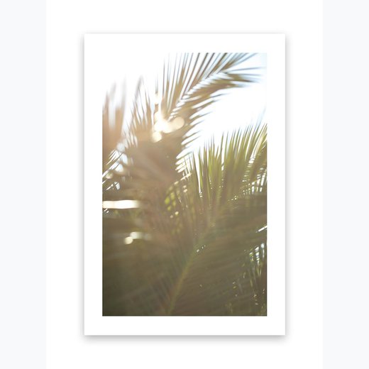 Kunstdruck Poster Bild Druck Motiv: "Palmenblätter Sonnenstrahlen" 21x30cm