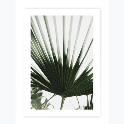 Palmenblatt 70x100 cm
