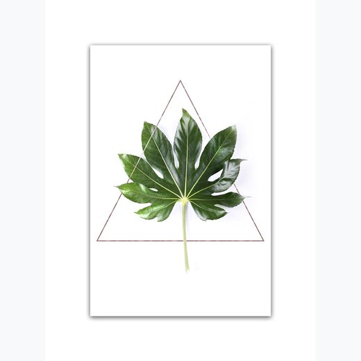Grünes Blatt im Dreieck als Kunstdruck 21x30cm
