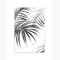 Palmenblätter als Kunstdruck 70x100cm