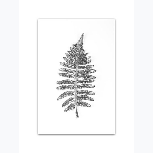 Silbernes Palmenblatt als Kunstdruck 21x30cm