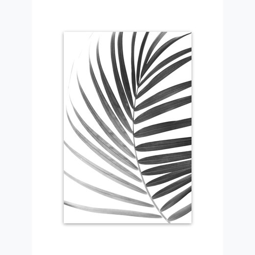 Palmenblatt 2 als Kunstdruck 21x30cm
