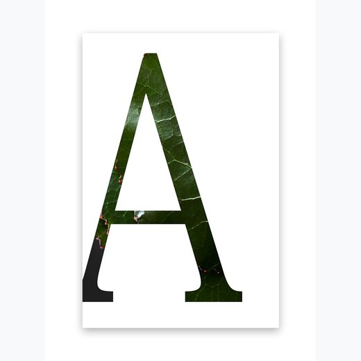Kunstdruck Buchstaben A-Z Blatt Design
