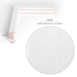 Schallplatten Rahmen VARIO36 Schallplattenrahmen in Schwarz(matt)/Weiß (matt)/Mattsilber für Vinyl Schallplatten und Cover